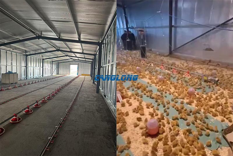 阿尔巴尼亚鸡舍